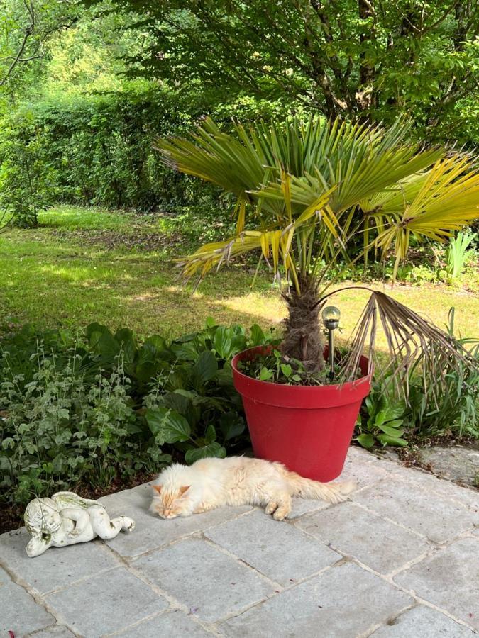 Les Vergers Appartement Bergerac Buitenkant foto